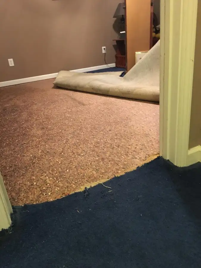 Carpet pad removal revealing water damage during Water Mitigation Services in Gaithersburg