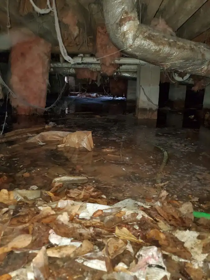 Crawl space flood assessment for Leak Detection & Repair in Gaithersburg